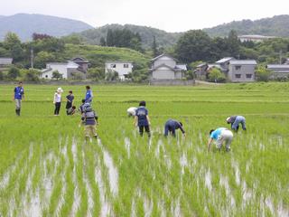 草取り