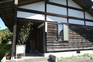 Vegan Touka Apperance