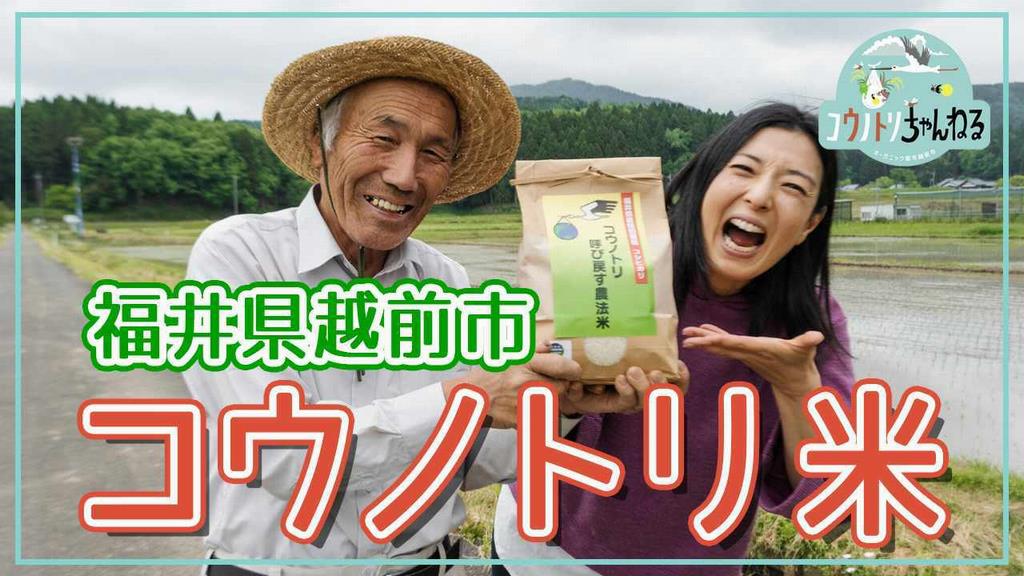 第1弾コウノトリちゃんねる