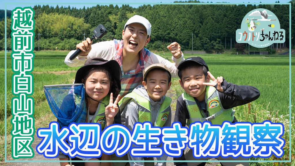 水辺の生きものを観察しよう！
