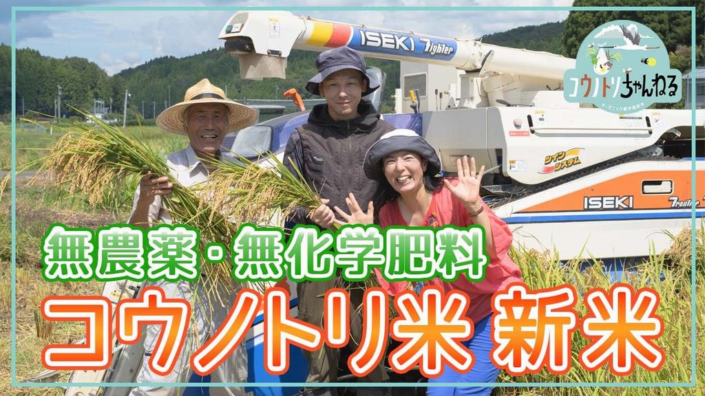 第６弾コウノトリちゃんねる