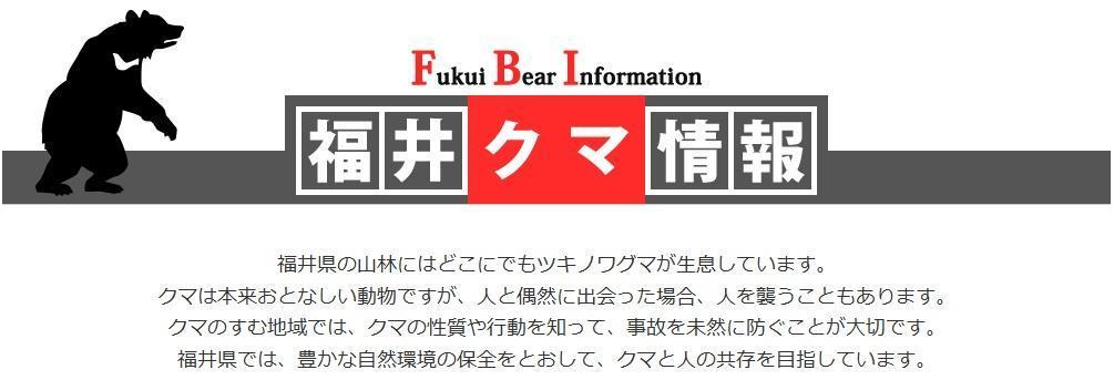 クマ出没情報