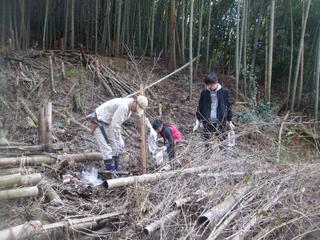 帆山町植樹３