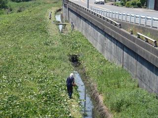 町用水草刈り１