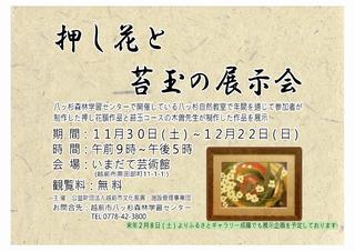 押し花と苔玉展ちらし