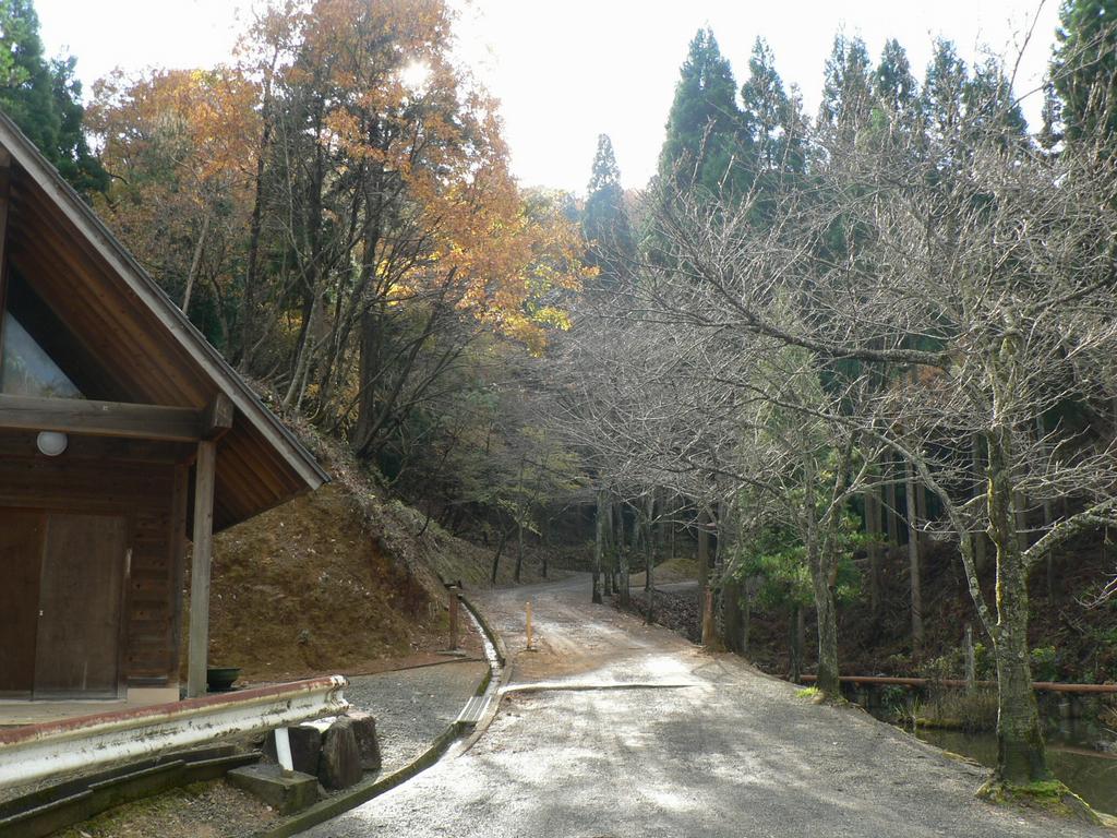 池ノ上森林スポーツ林道